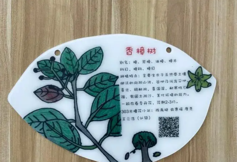 关于植物的趣味知识有哪些？分享一下吧！