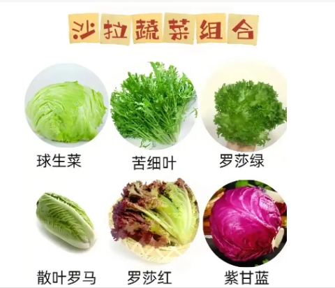 沙拉菜有几种蔬菜？具体是什么做的？