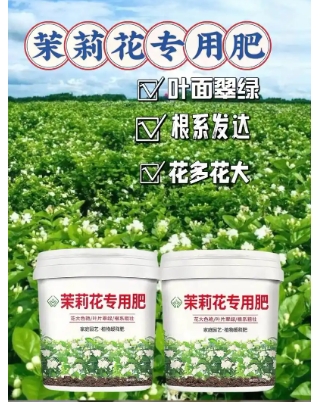 茉莉花用什么肥料好？多久用一次合适？